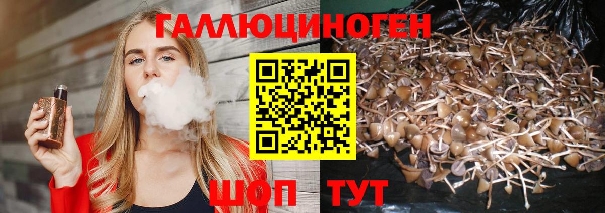 Галлюциногенные грибы мухоморы  Псилоцибиновые грибы Psilocybe  Вход с VPN  Гудермес 