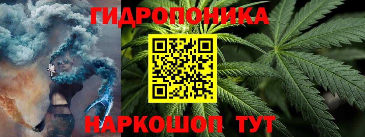Гудермес  Каннабис семена  Бошки Шишки VHQ  Вход с VPN  Бошки Шишки Amnesia 